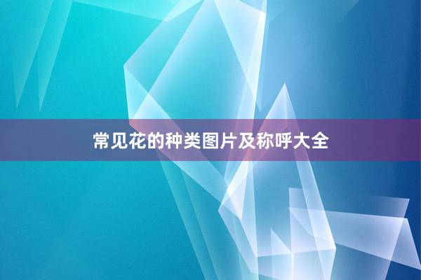 常见花的种类图片及称呼大全