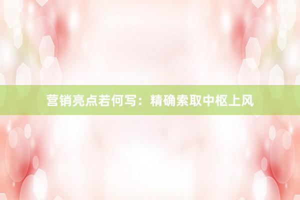 营销亮点若何写：精确索取中枢上风